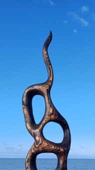 Système racinaire IV